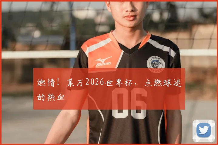 燃情!莱万2026世界杯,点燃球迷的热血