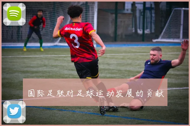 国际足联对足球运动发展的贡献