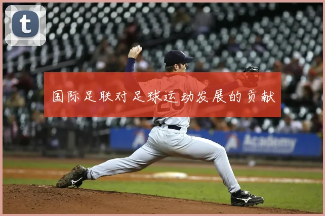 国际足联对足球运动发展的贡献