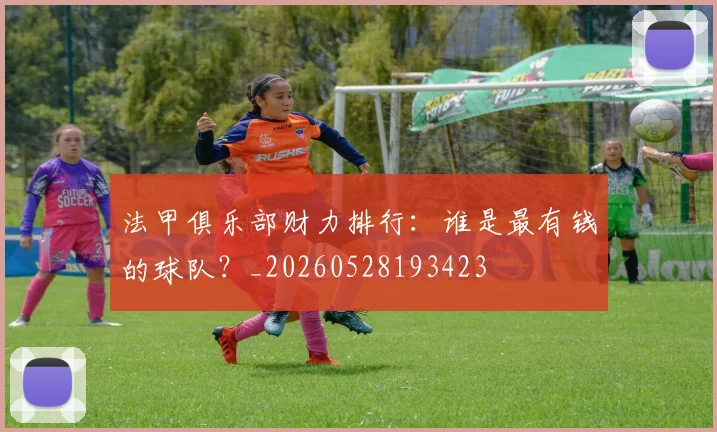 法甲俱乐部财力排行：谁是最有钱的球队？_20260528193423
